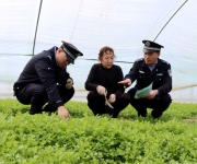 “田间警务”护农安