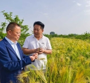 李志民到平顶山市绿禾农业调研
