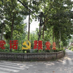 建安区：农业家庭农场带动群众增收致富