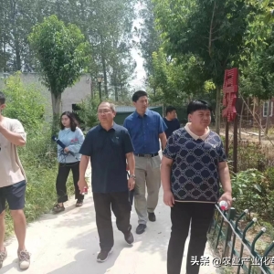 农业产业化专委会一行到淼林农业调研乡村振兴工作