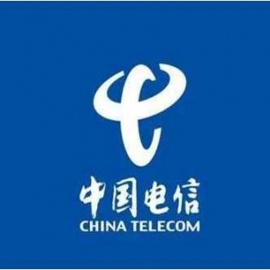 中国电信集团有限公司