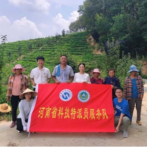 省科技特派员助力河南省茶产业高质量发展