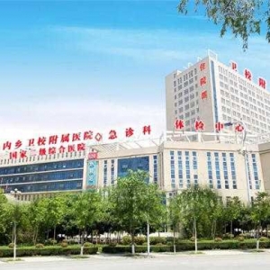 （优化营商环境）内乡卫校附属医院：精准康复见成效 优质服务暖人心