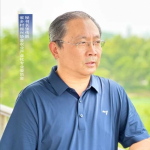 聚焦乡村振兴——专访河南省乡村振兴协会农业产业化专委会秘书长张传胜