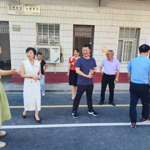 西峡县教体局曹怡玲科长到双龙镇进行开学工作检查