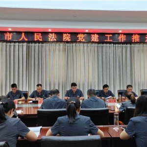 邓州法院召开党建工作推进会