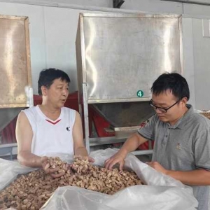 西峡县双龙镇：优化营商环境 助力企业发展