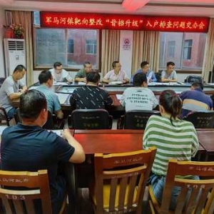 西峡县军马河镇：借助“三力”扎实做好靶向整改“晋档升级”