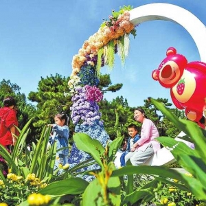 菊香秋韵