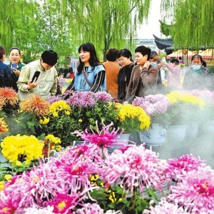 竞相绽放
