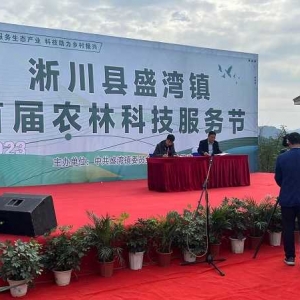 淅川县盛湾镇：科技助农保丰收 产业发展有劲头