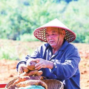 金秋时节好丰光