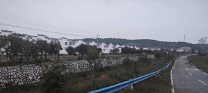 桐柏县程湾镇：持续开展人居环境整治提升行动 助力营商环境再优化