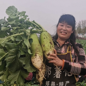 丰收的喜悦