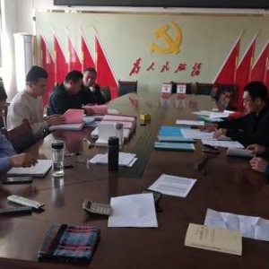 方城县独树镇：举行“靶向整改晋档升级回头看”台账资料检查活动