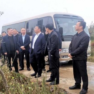 南阳市宛城区区长郭炜调研指导林长制工作