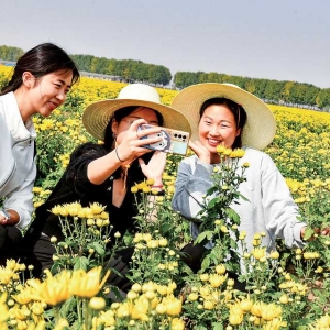 文旅融合促增收
