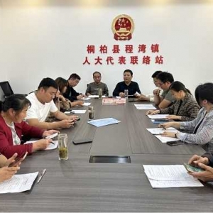 桐柏县程湾镇人大主席团：加强“双员”培训 促履职能力提升