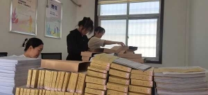 镇平县杨营镇财政所：积极开展年度档案整理工作