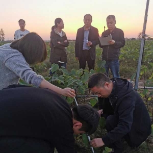 南阳市宛城区林业局迎接省市种苗站查定优质林木种苗培育扶持项目