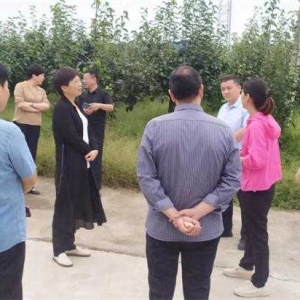 方城县博望镇： 党组织引领共建和美乡村