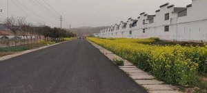 桐柏县程湾镇：人居环境再提升 美丽乡村展新颜