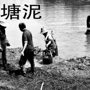 肖永成乡情散文‖挑塘泥