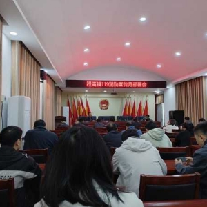 桐柏县程湾镇：消防宣传月 防患于未“燃”