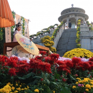 游古城 赏菊花