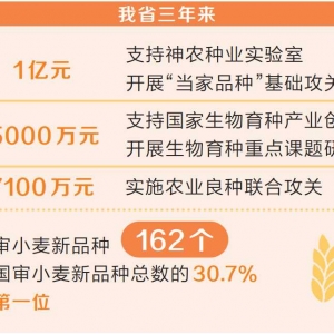 勇攀种业新高峰 ——写在2023中原农谷国际种业大会开幕之际