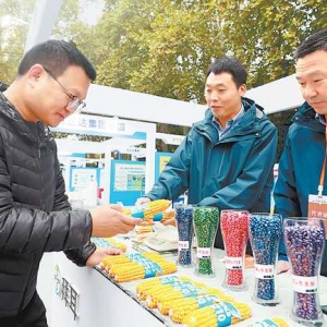 提振农业“芯”动力——2023中原农谷国际种业大会掠影