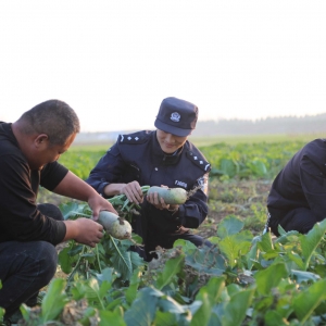 郸城县公安局汲冢派出所：助农服务暖民心