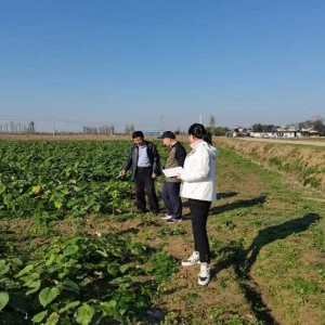 南阳市宛城区林业局：全面完成省级营造林核查验收
