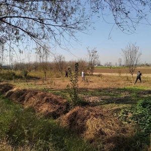 南阳市宛城区：加快进行2023年度超标准廊道绿化整改工作