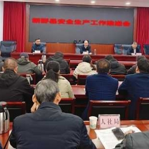 新野县召开全县安全生产工作推进会议