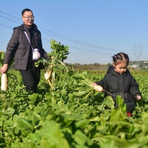 河南洛阳：爱心助农 双向暖心