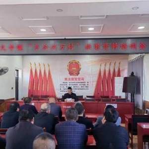 内乡县瓦亭镇：召开档案资料培训会 夯实“万企兴万村”工作基础