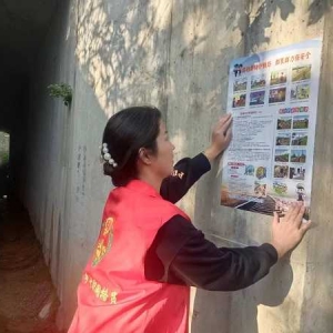 桐柏县城郊乡：安全记心间 共护平安路