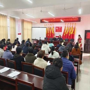 唐河县毕店镇：开展农村实用技术培训 讲好“小麦的一生”故事