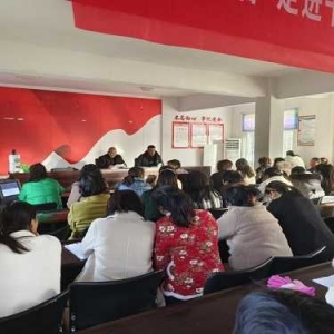 唐河县毕店镇开展白菜萝卜栽培培训会
