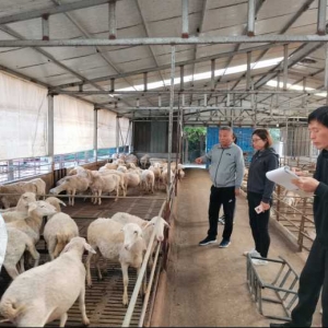 完善标准机制  助推现代化食品名城建设