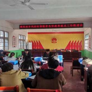 新野县前高庙乡召开巩固脱贫攻坚成果 重点工作推进会