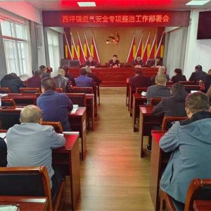 西峡县西坪镇：落实燃气安全专项整治 保障居民生命财产安全