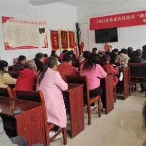 唐河县桐河乡：扎实开展技能培训，稳步提高农民实用技术