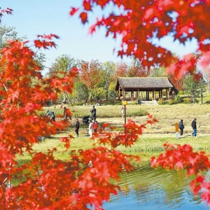 赏景游玩
