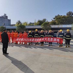 桐柏县程湾镇开展消防防灭火应急演练