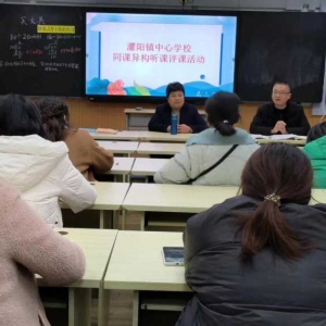 遂平县灈阳镇中心校举行同课异构听课评课活动