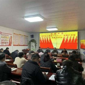 唐河县临港街道召开驻村帮扶“三个三”机制11月点评会