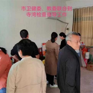 南阳市卫健体委及市教委督导组 对淅川县寺湾镇卫生院免疫规划工作开展督导检查