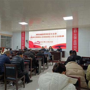 镇平县柳泉铺镇：召开贯彻落实全县总林长暨国土空间绿化工作会议精神大会
